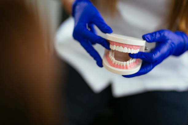 Reliable Chatfield, MN  Holistic Dental Services Solutions